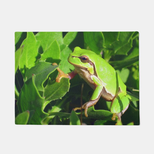 Tapete Esteira de porta do sapo (Frente)