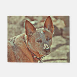 Tapete Esteira vermelha de Heller do filho do baby-boom