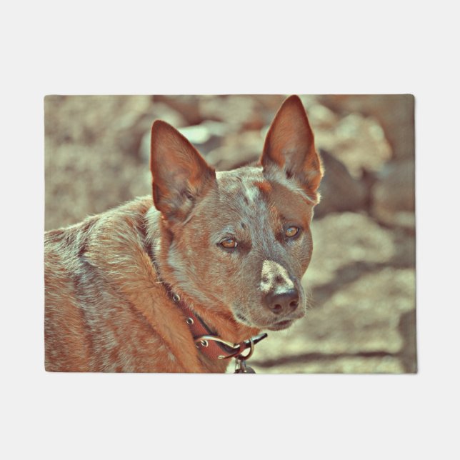 Tapete Esteira vermelha de Heller do filho do baby-boom (Frente)