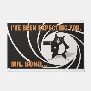 Tapete Eu estive esperando por você, Sr. Bond gata amante