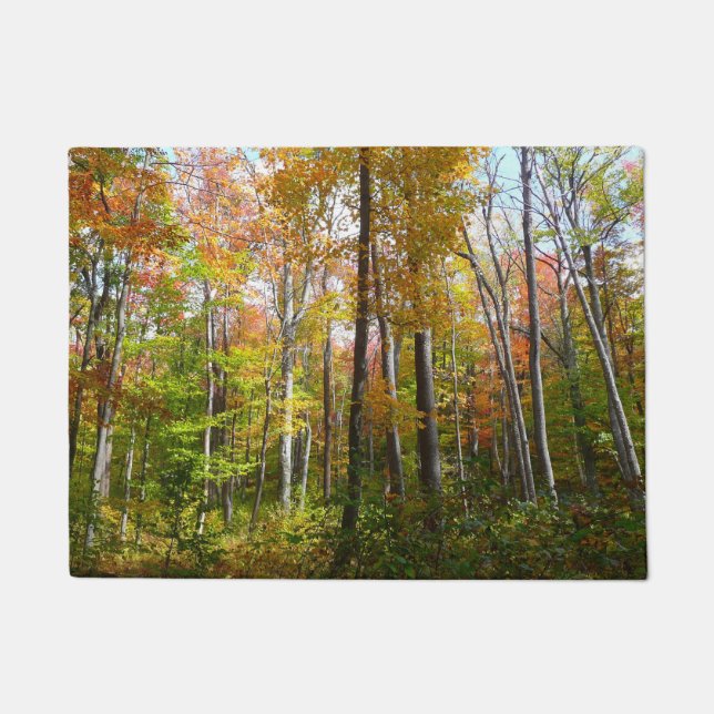 Tapete Fall Forest I Autumn Landscape Photoshop (Frente)