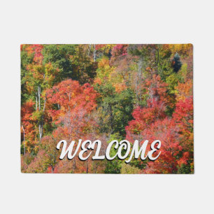 Tapete Fall Hillside Colorter Autumn Nature Fotografia