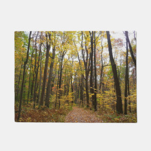 Tapete Fall Trail and Ouro Leaves no Laurel Hill Park