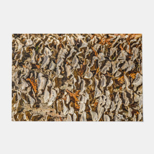 Tapete Fascinação com Fungos