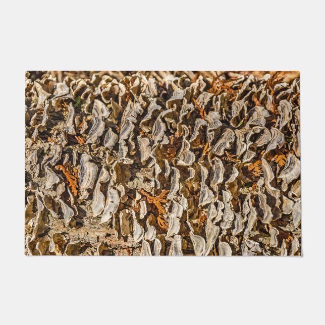 Tapete Fascinação com Fungos (Frente)