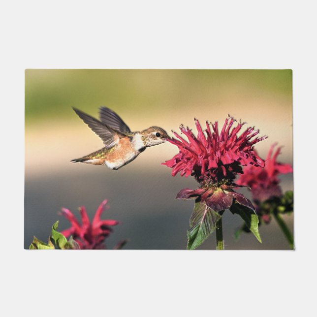 Tapete Febre do Hummingbird (Frente)