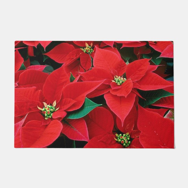 Tapete Feriado de Poinsettia Vermelha