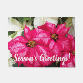 Tapete Feriado de Poinsettias Variegadas Rosa