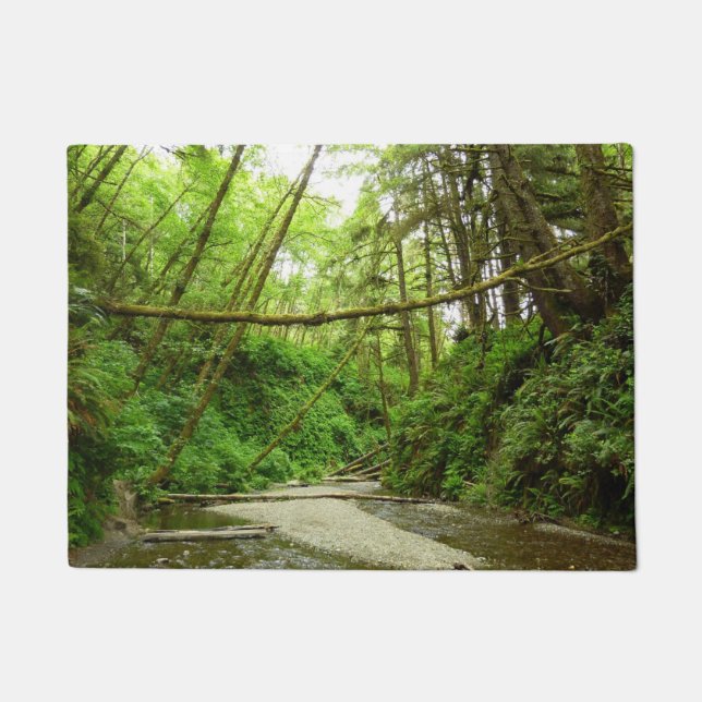 Tapete Fern Canyon I no Parque Nacional de Redwood (Frente)