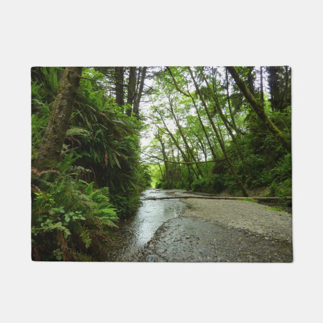 Tapete Fern Canyon II no Parque Nacional de Redwood (Frente)