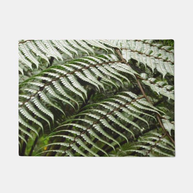 Tapete Fern Fronds II Dark Green Nature (Frente)