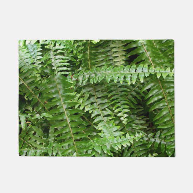 Tapete Fern Frontes I Green Nature (Frente)