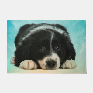 Tapete Filhote de cachorro de border collie