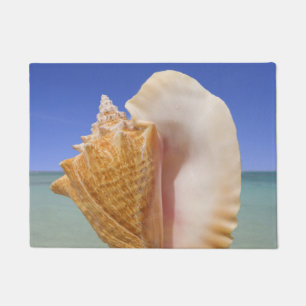 Tapete Fim de Shell do mar acima