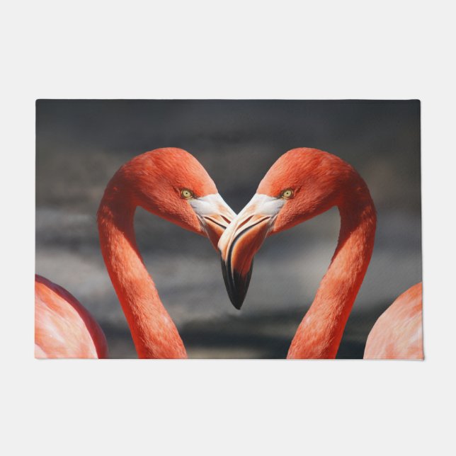 Tapete Flamingoes no Amor (Frente)
