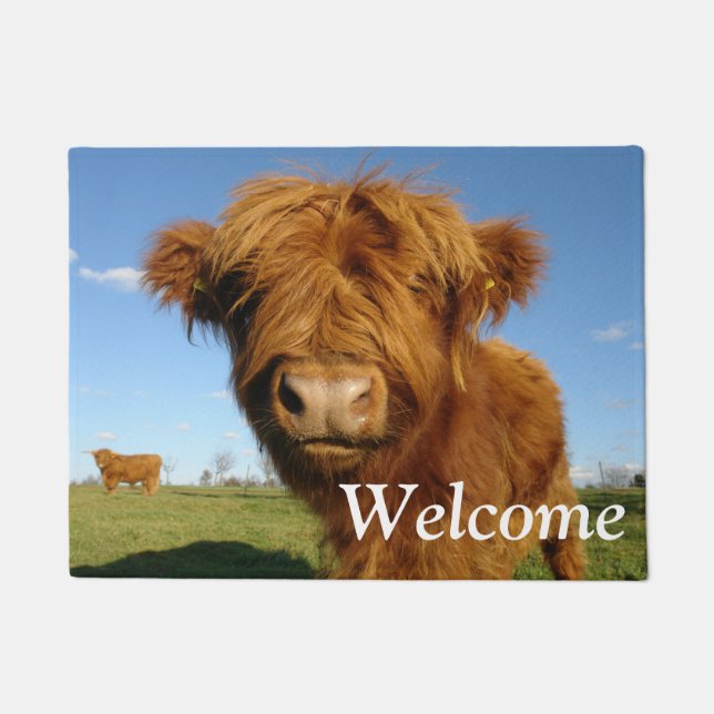 Tapete Floffy Scottish Highland Cow - Blue Sky (Frente)