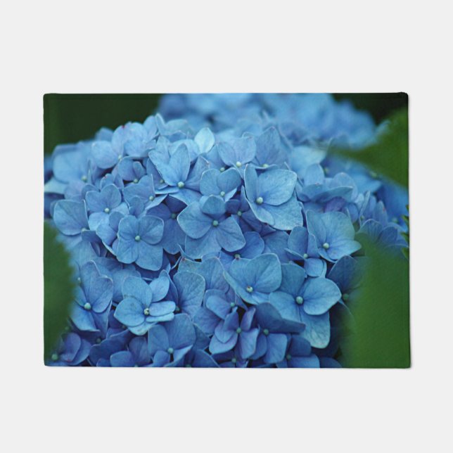 Tapete Flor azul do hydrangea (Frente)