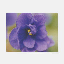 Tapete Flor Azul Sangrando de Violet Saintpaulia Zoomed