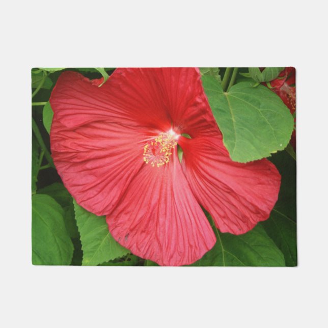 Tapete Flor Brilhante Magenta Hibiscus Floral (Frente)
