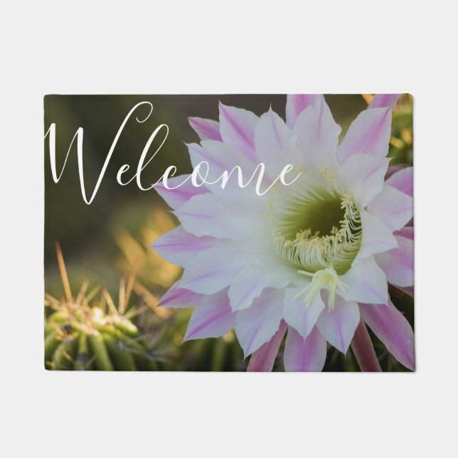 Tapete Flor de cacto roxa e branca (Frente)