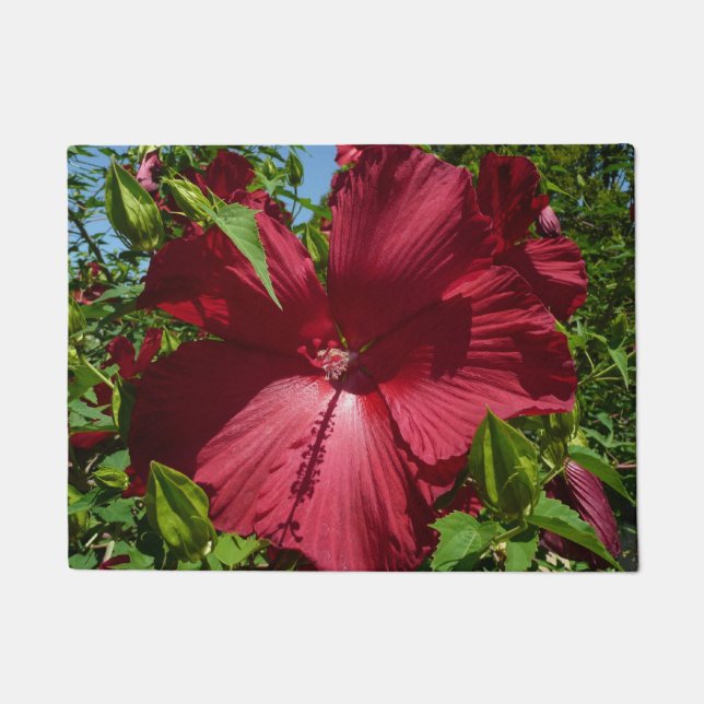 Tapete Flor de Hibiscus e Céu Azul (Frente)