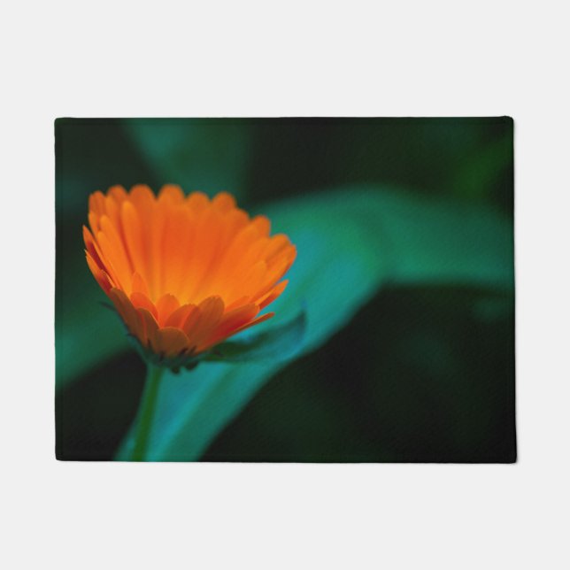 Tapete Flor de margarida laranja (Frente)