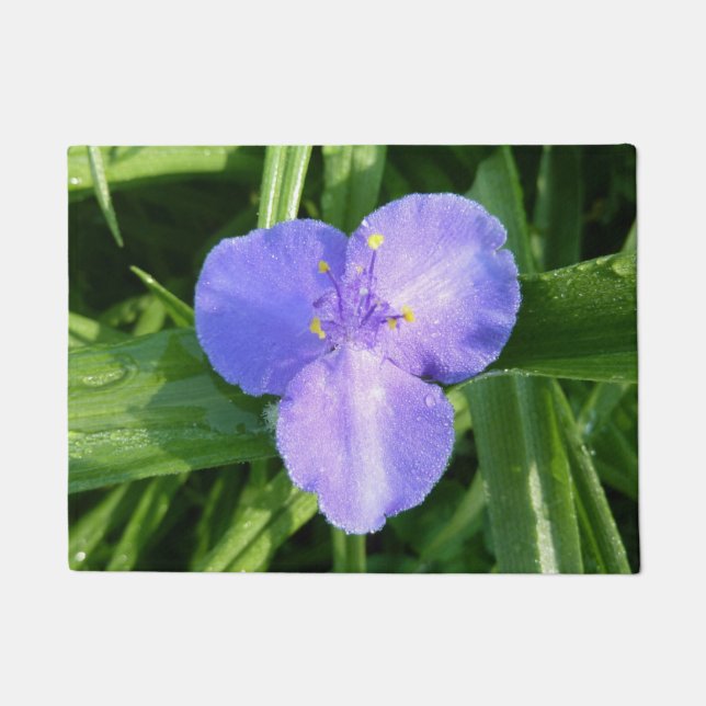 Tapete Flor de Primavera Trilium Dewy (Frente)