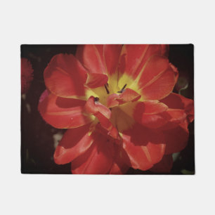 Tapete Flor de tulipa vermelha