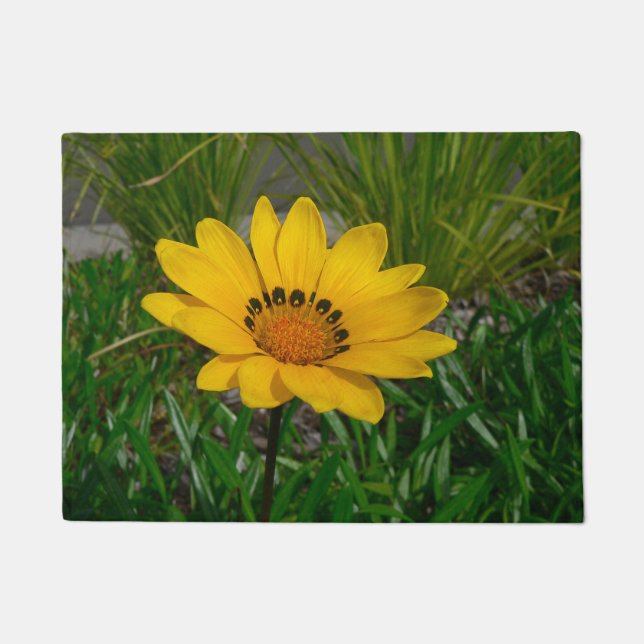 Tapete Flor Gazania (Frente)