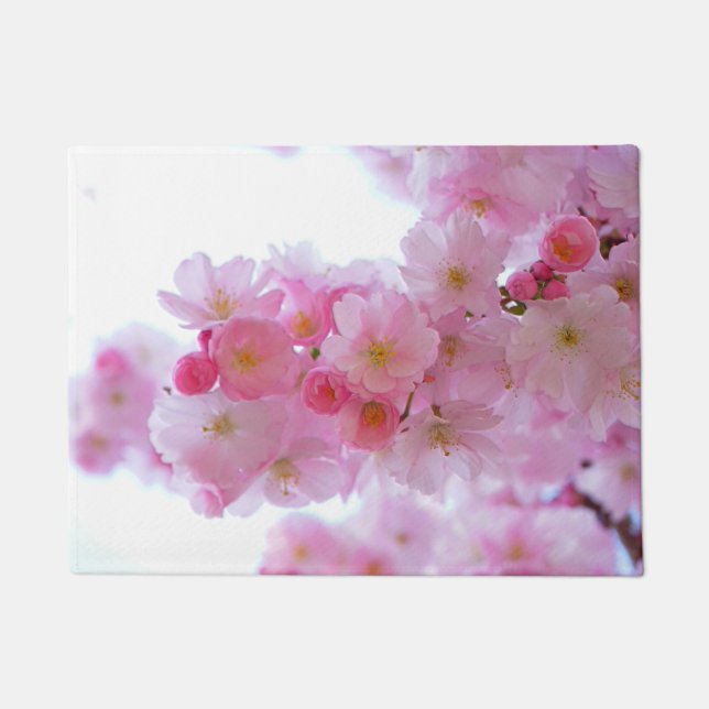Tapete Flor japonesa da árvore de cereja (Frente)