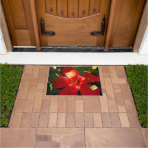 Flor Red Hibiscus à Luz do Sol