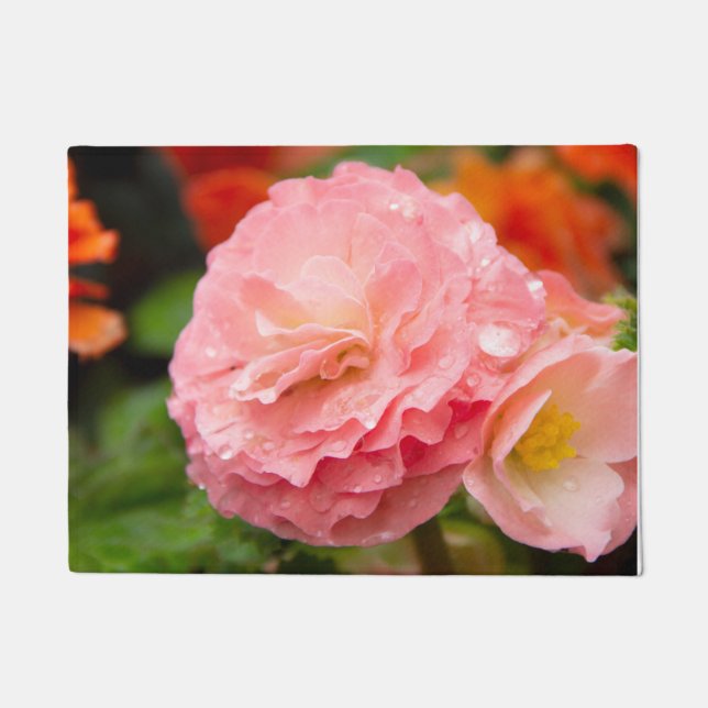 Tapete Flor rosa delicada após a chuva (Frente)