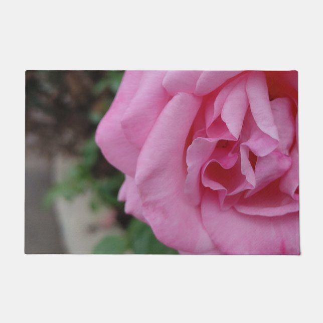 Tapete Flor rosa rosa rosa rosa (Frente)