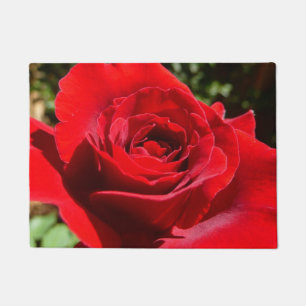 Tapete Flor Rosa vermelha Brilhante Floral