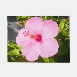 Tapete Flor Tropical de Hibiscus Rosa