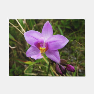 Tapete Flor Tropical Roxo de Orquídea Selvagem
