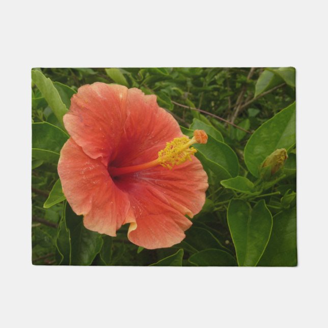 Tapete Floral Tropical de Laranja Hibiscus (Frente)