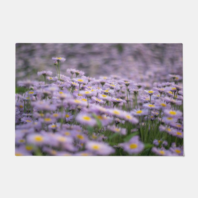 Tapete Flores de Aster Roxo (Frente)