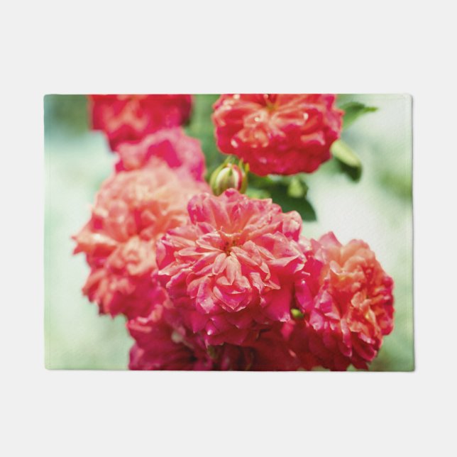 Tapete Flores rosas vermelhas (Frente)
