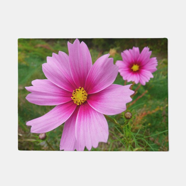 Tapete Flores Silvestres Cosmos Rosa (Frente)