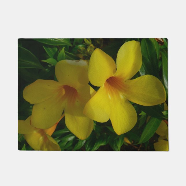 Tapete Flores tropicais II ouros (Frente)