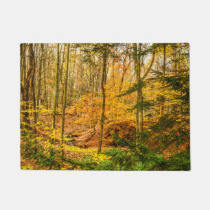 Tapete Floresta de Outono Natureza
