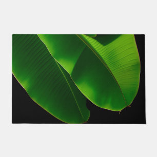 Tapete Folha de Banana Verde Vibrante Tropical Closeup