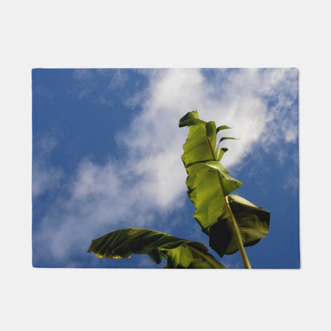 Tapete Folhas da árvore da banana (Frente)