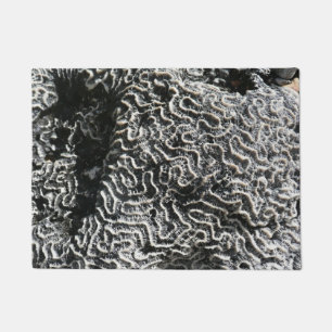 Tapete Foto da natureza do Abstrato Black and White Coral