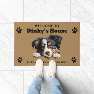 Tapete Foto de cachorro da raça American Shepherd Miniatu