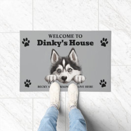 Tapete Foto de cachorro Husky Siberiano Fofo