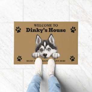 Tapete Foto de Cachorro Husky Siberiano Fofo