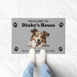 Tapete Foto de Cachorro Shetland Sheepdog Fofo