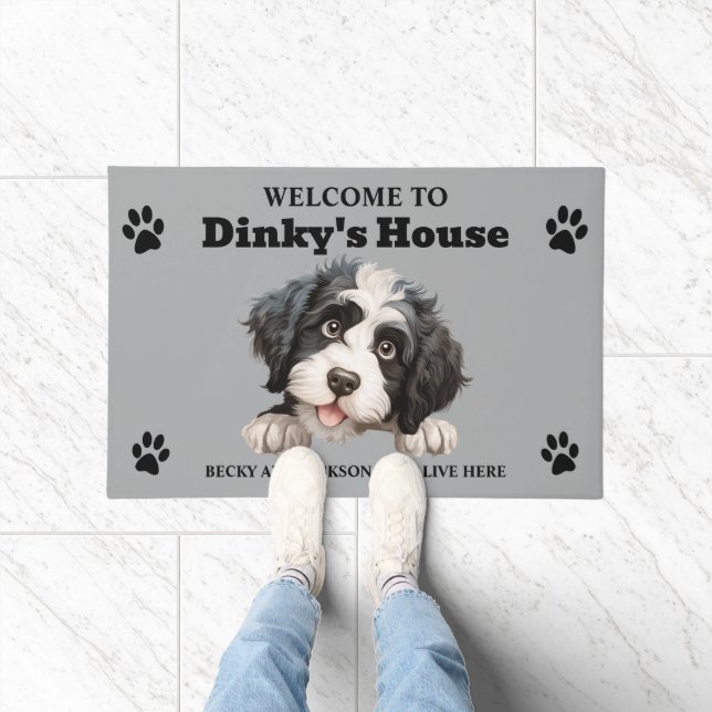 Tapete Foto de Cachorro-Vaqueiro Português (Interior)